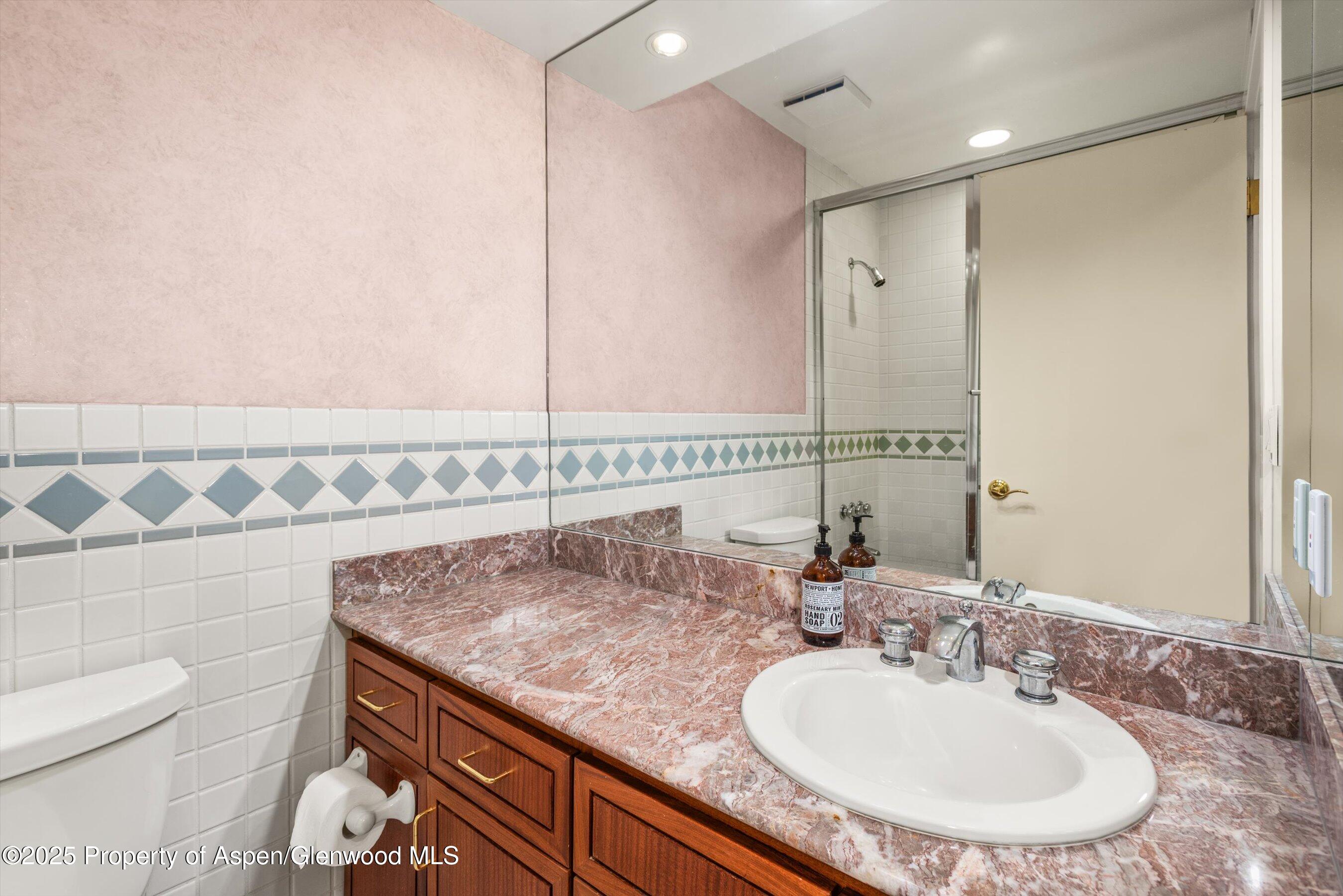 431 W Hopkins Avenue, Aspen