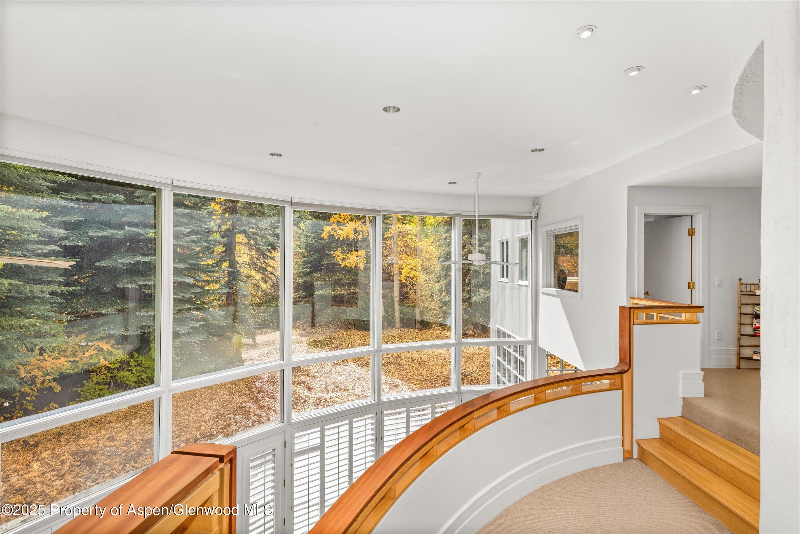 431 W Hopkins Avenue, Aspen