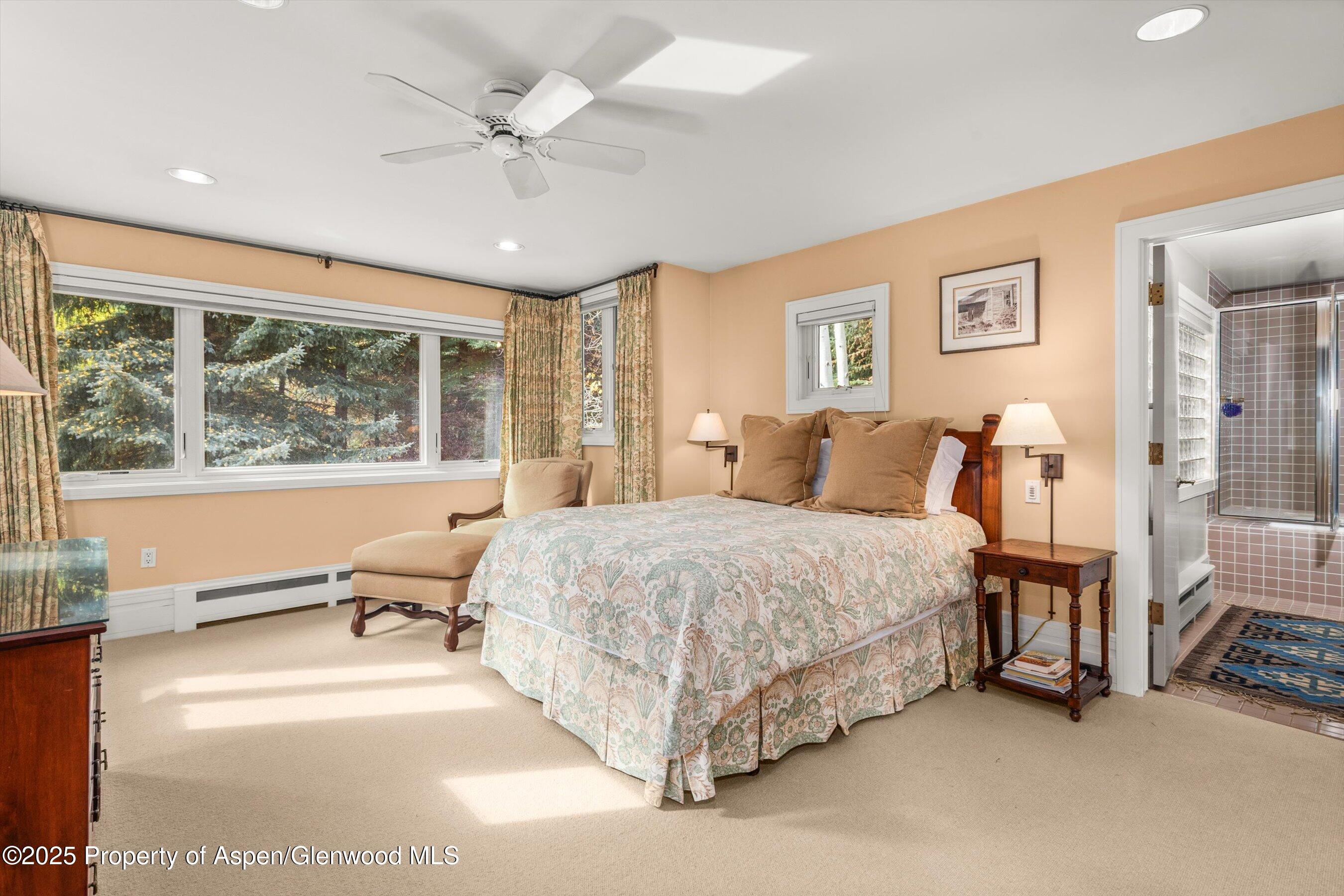 431 W Hopkins Avenue, Aspen