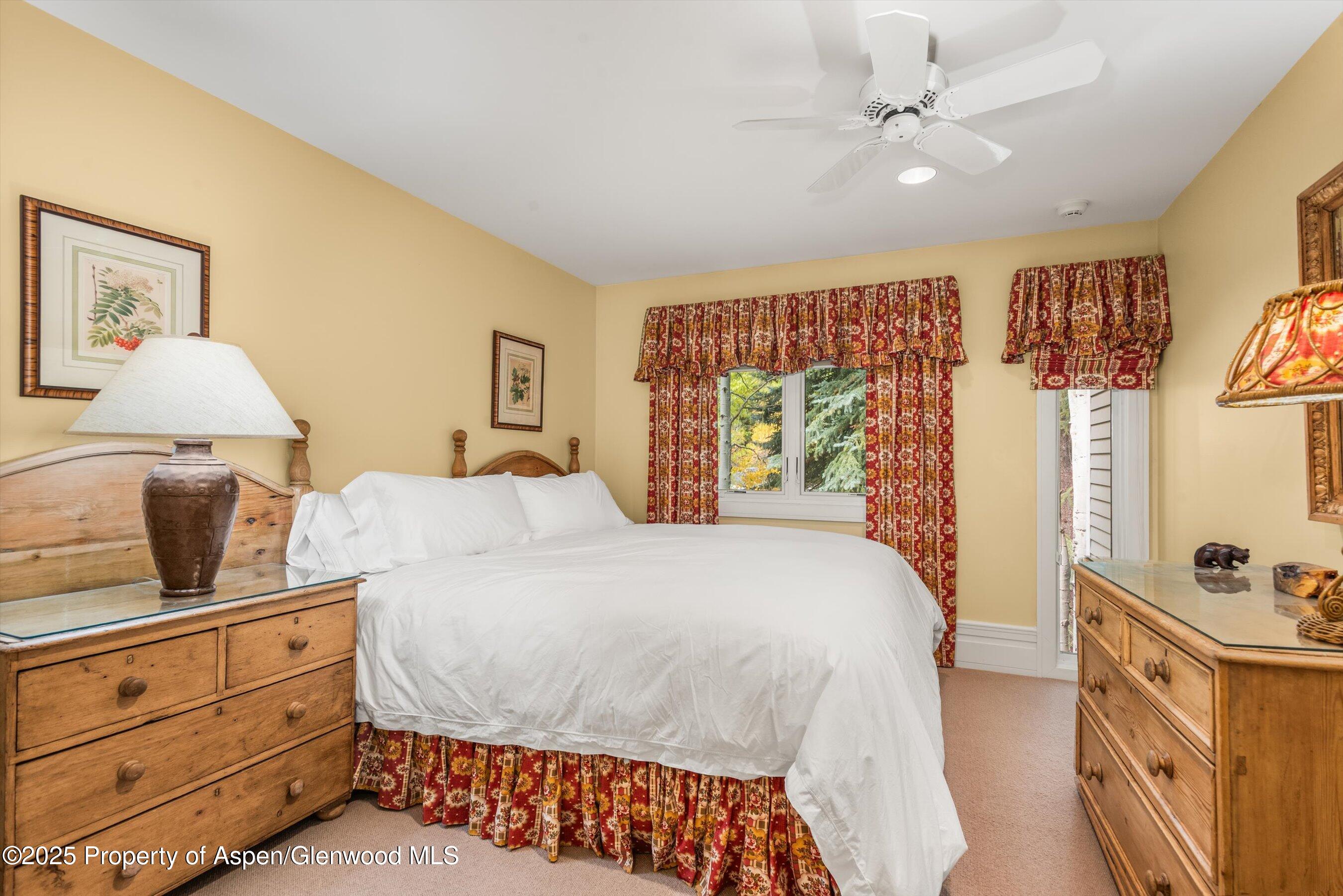 431 W Hopkins Avenue, Aspen