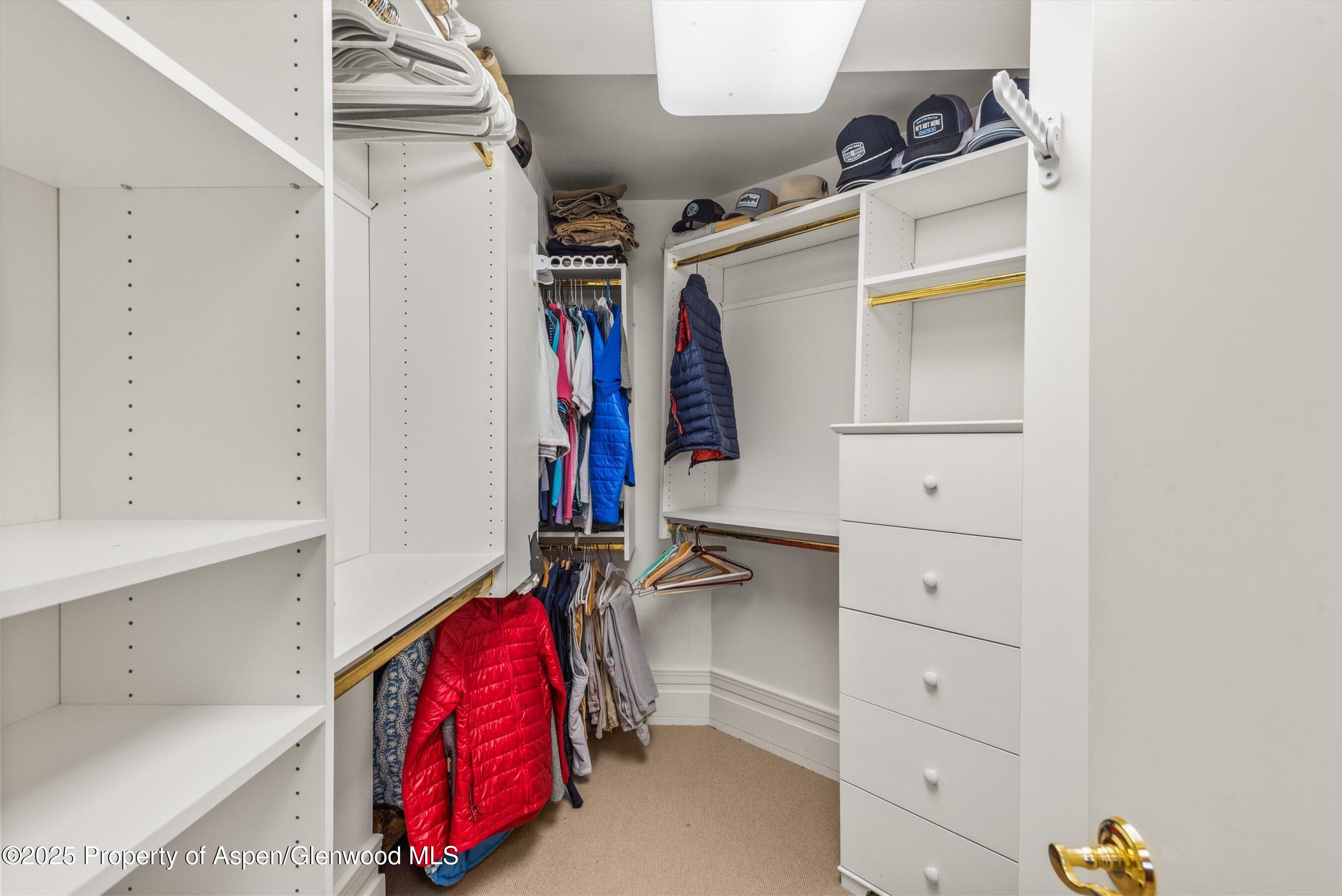 431 W Hopkins Avenue, Aspen