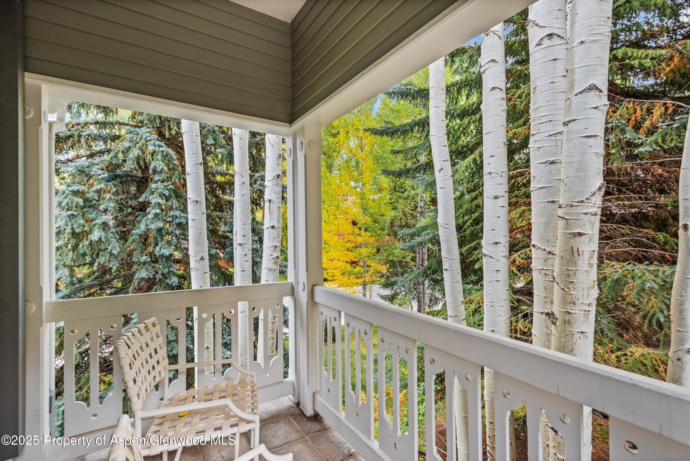 431 W Hopkins Avenue, Aspen