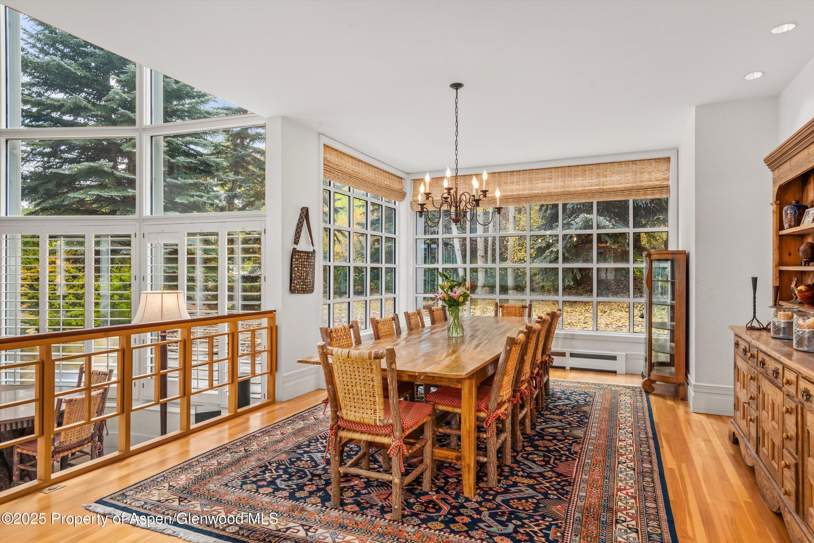 431 W Hopkins Avenue, Aspen