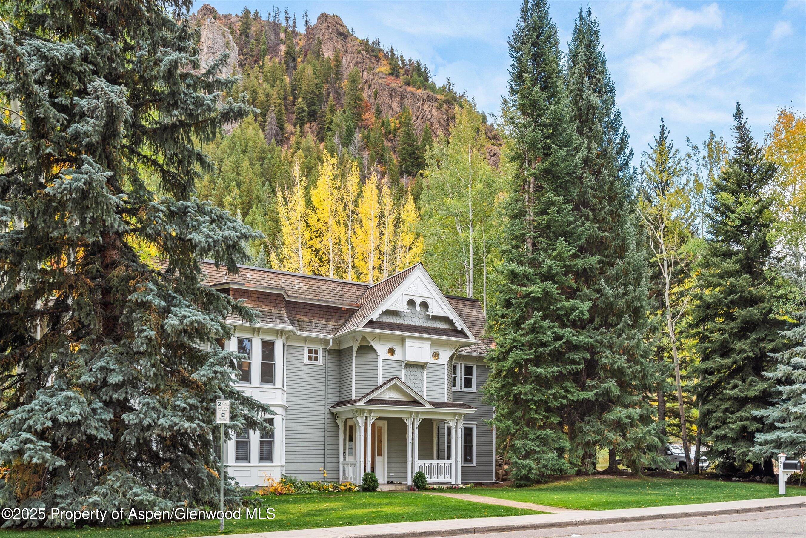 431 W Hopkins Avenue, Aspen