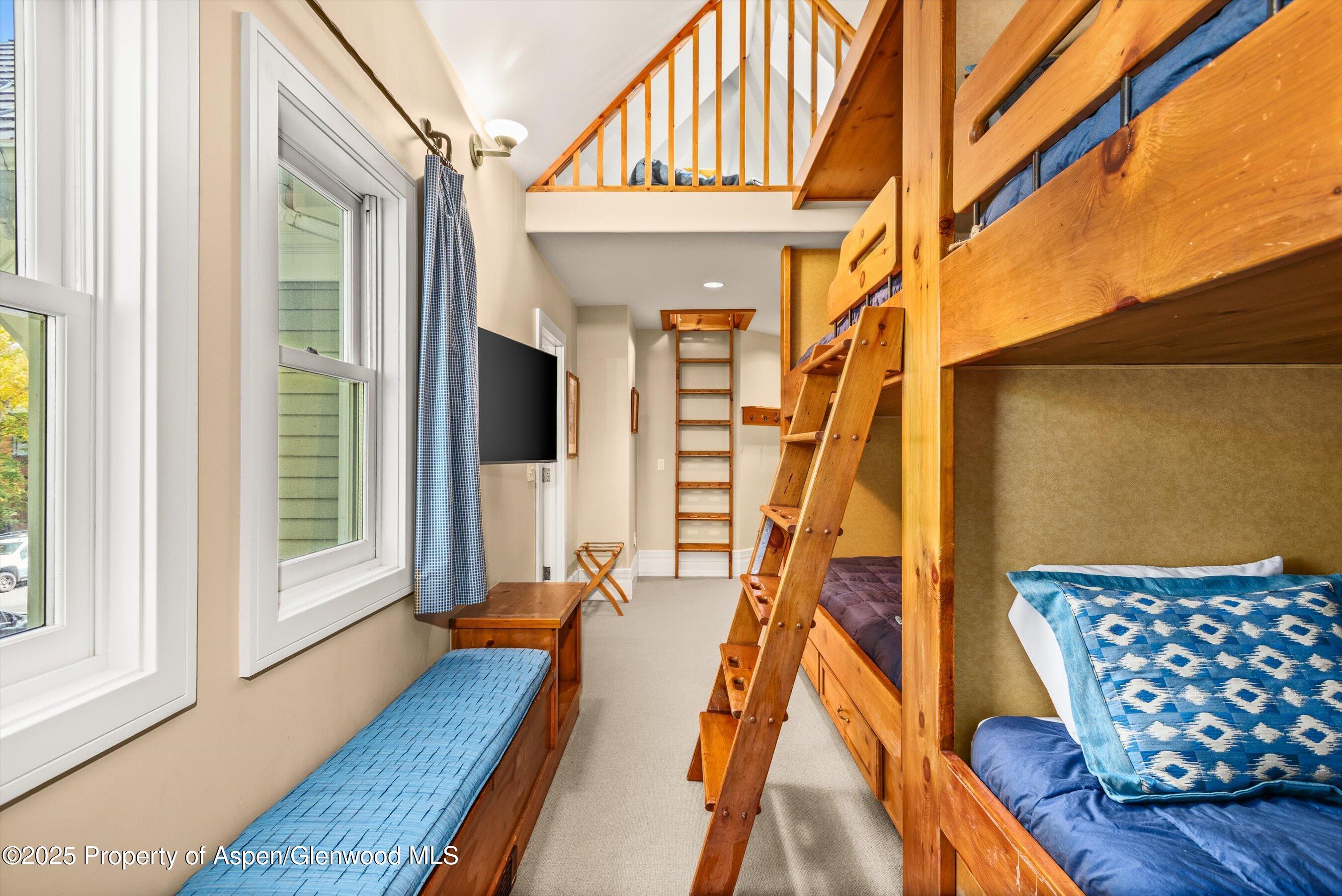 431 W Hopkins Avenue, Aspen