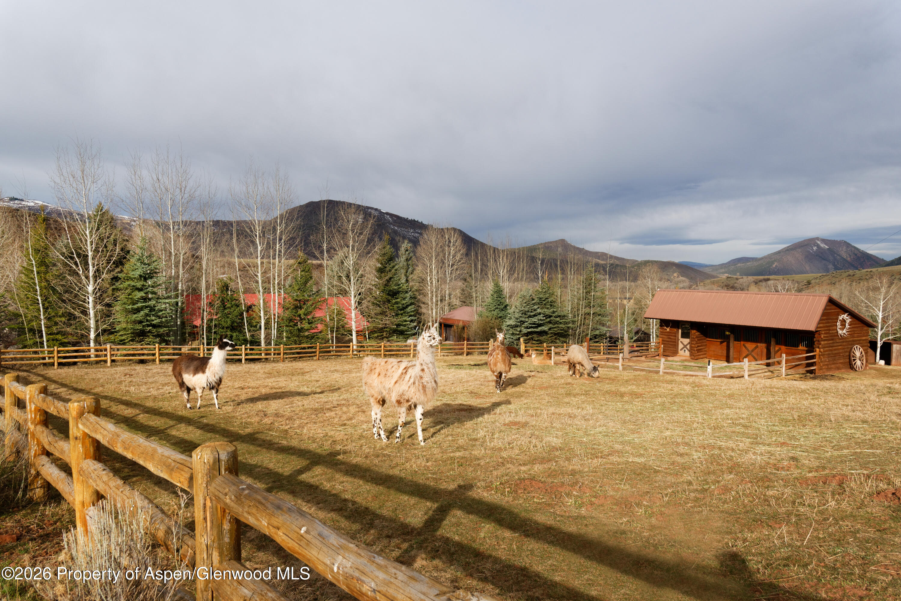 1214 Woody Creek Road