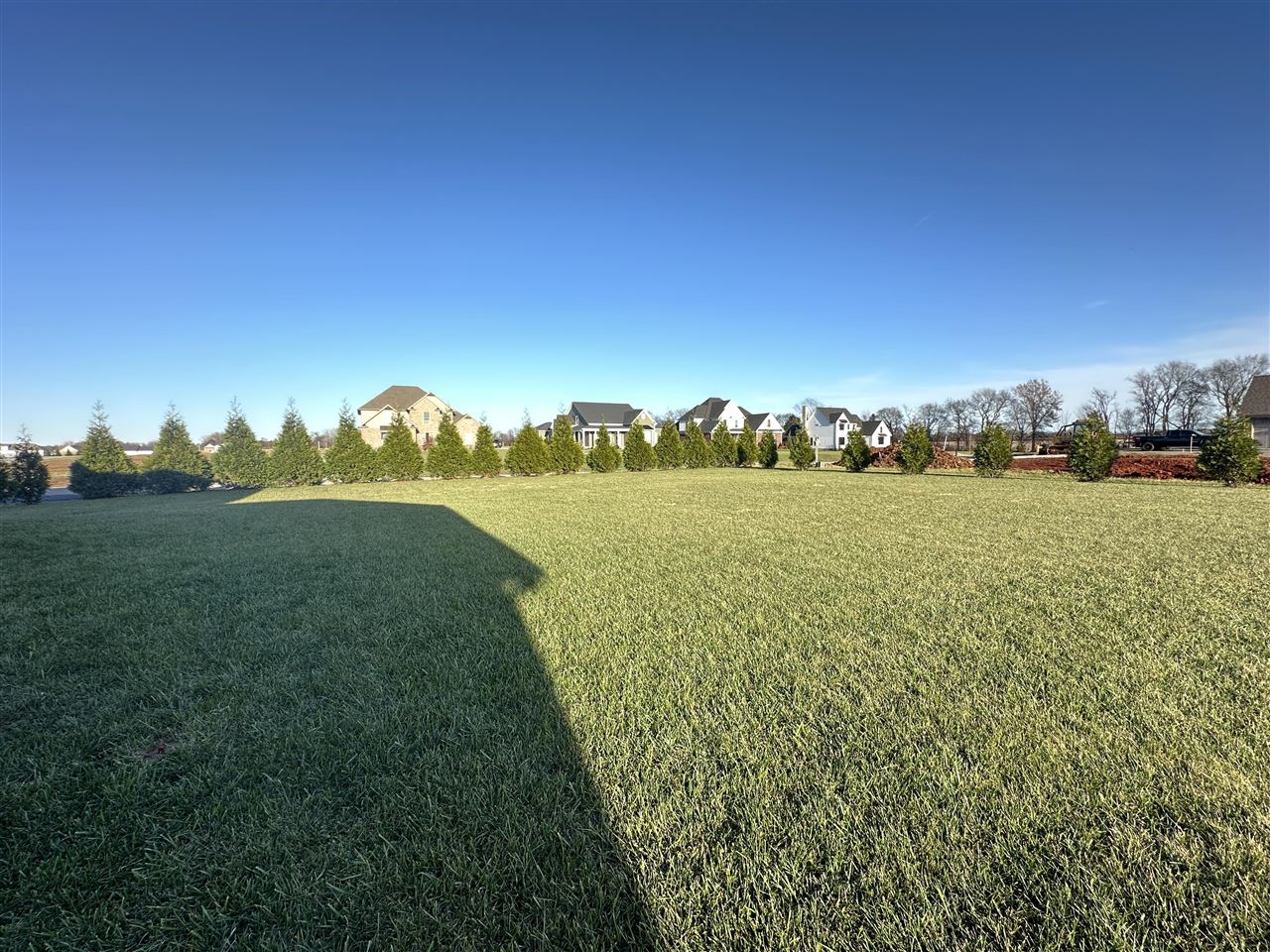 2415 Silver Oak Street