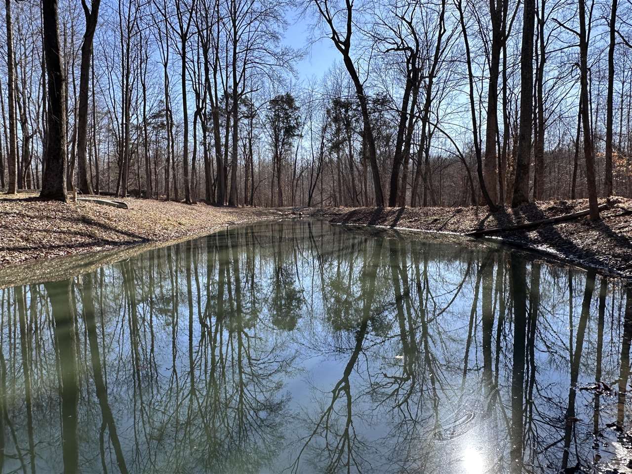 209 Cross Creek Court