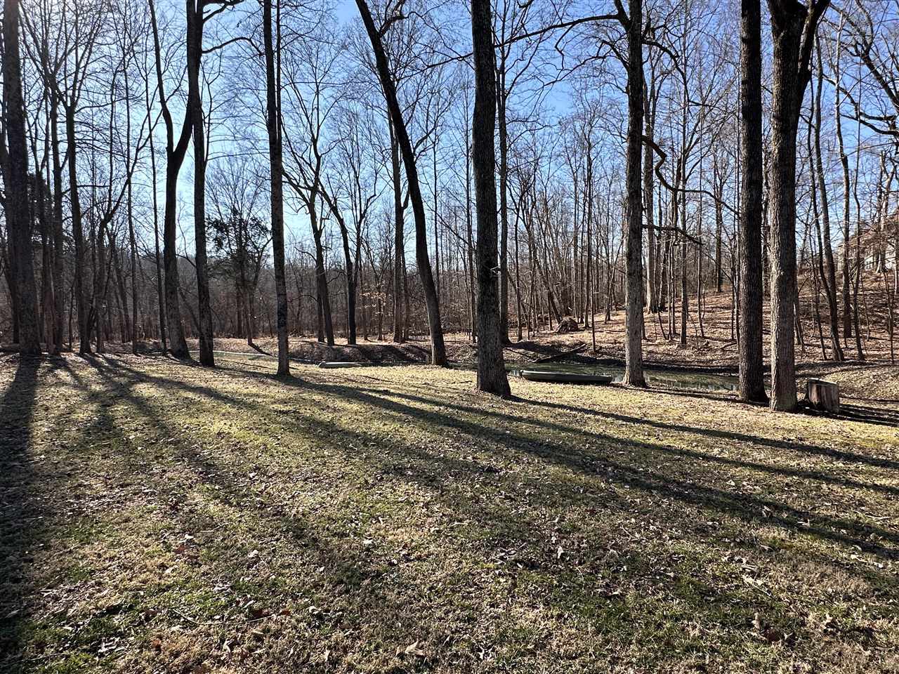 209 Cross Creek Court