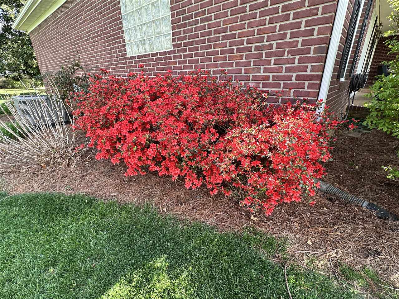 262 Southwind Drive