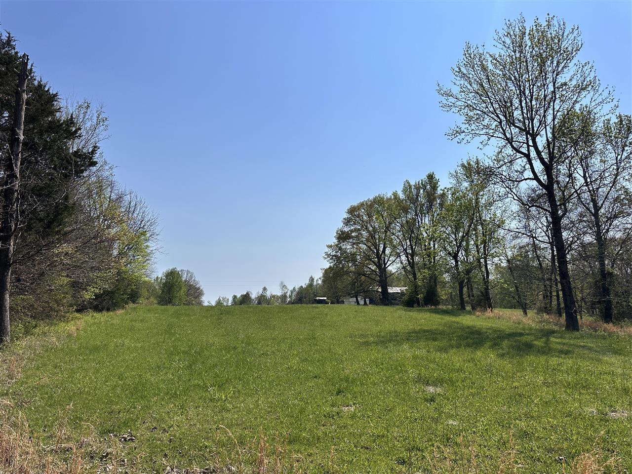 1474 Crow Road