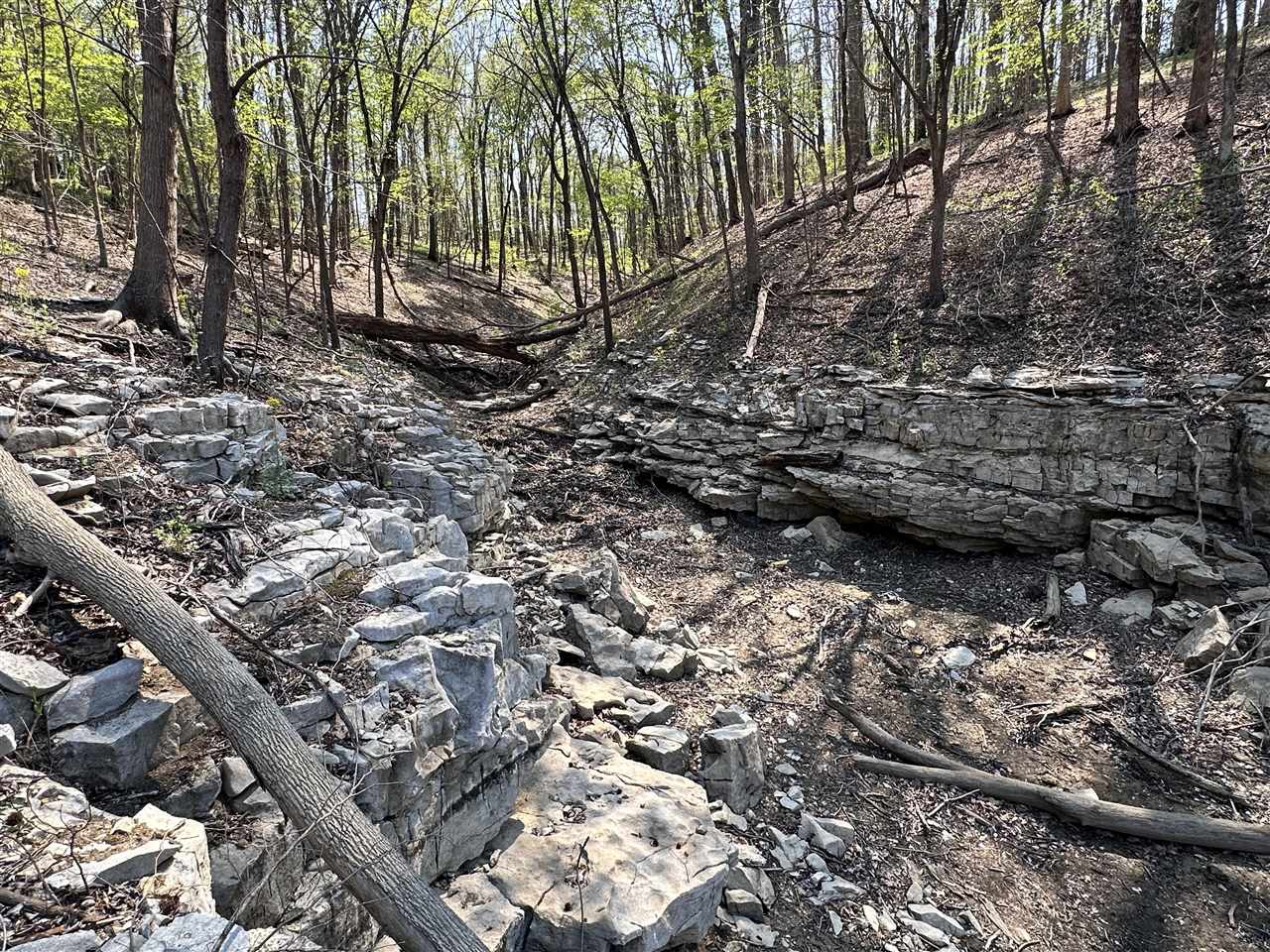 1474 Crow Road