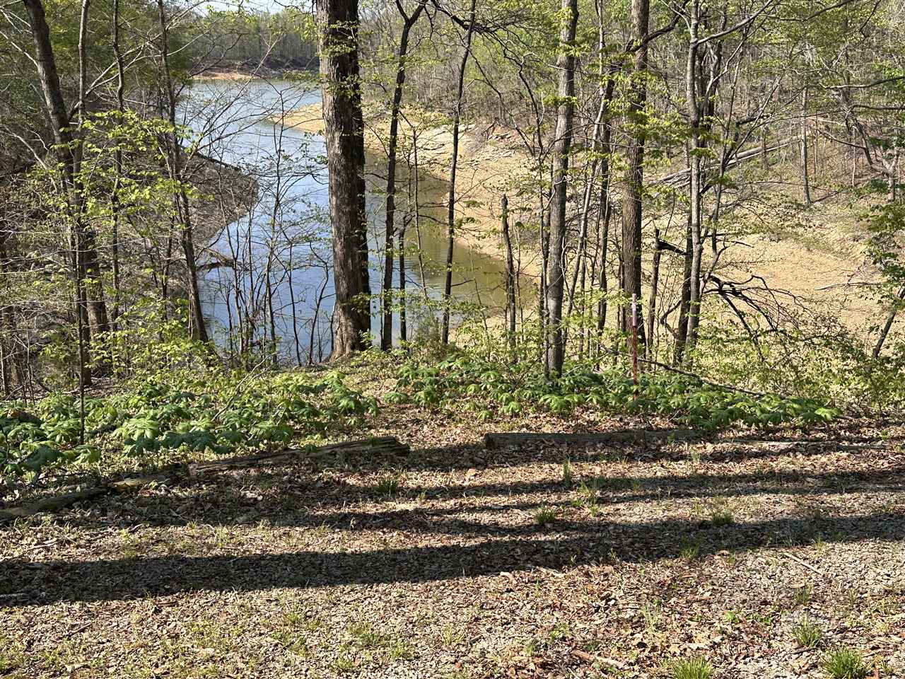 1474 Crow Road
