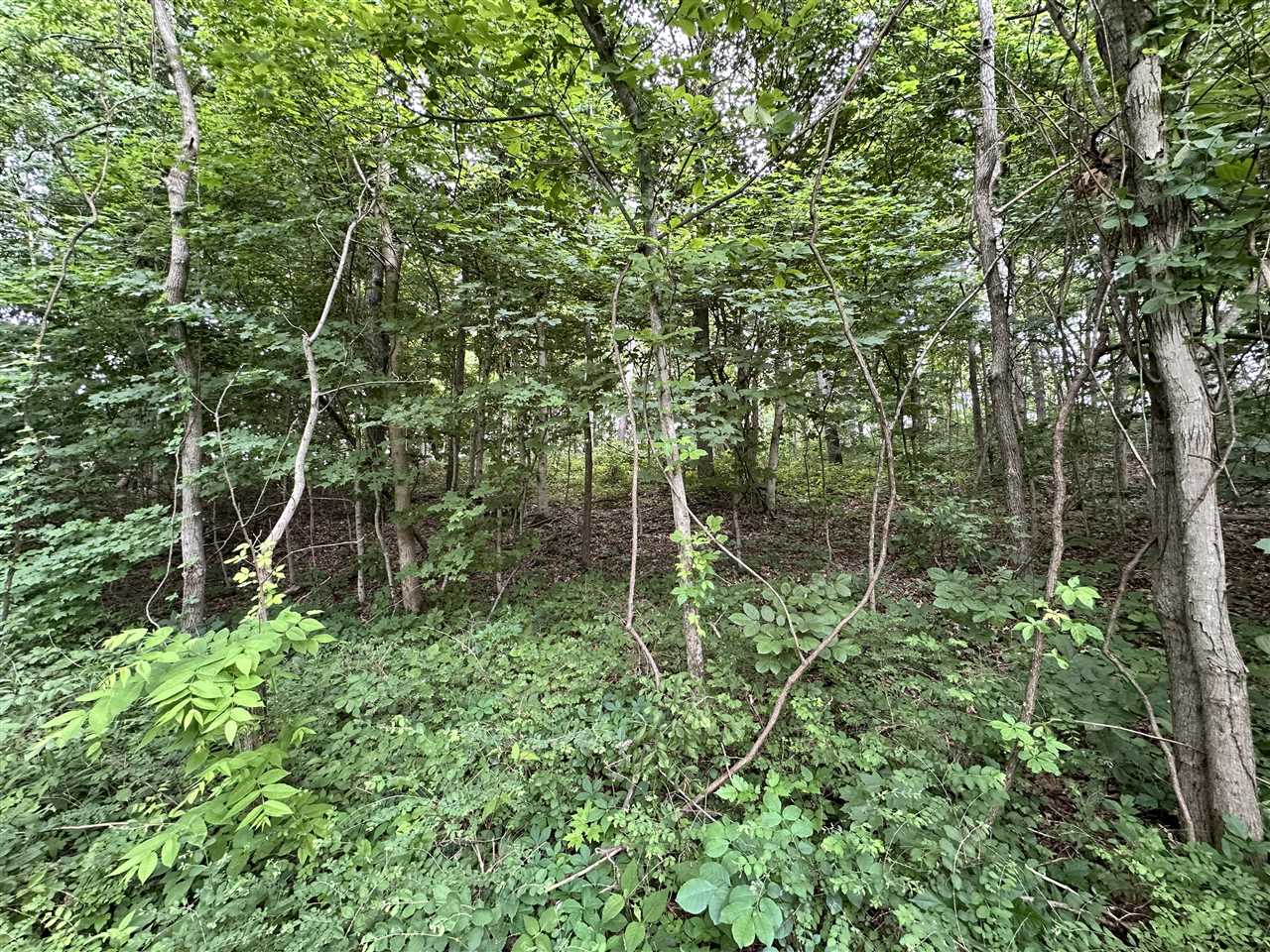 0 Mount Zion Road