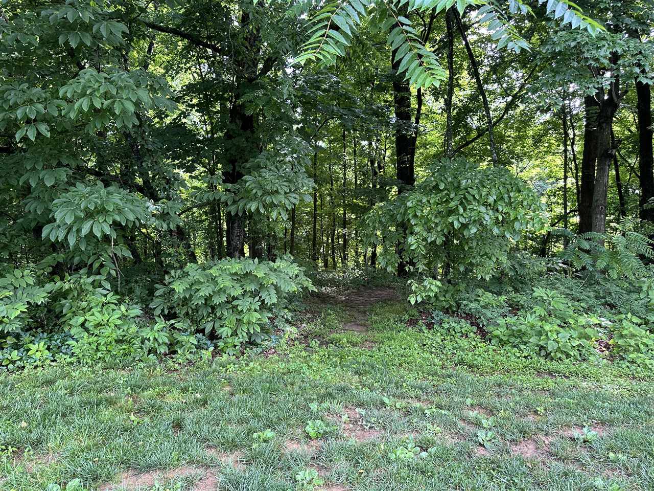 211 Indian Point Road