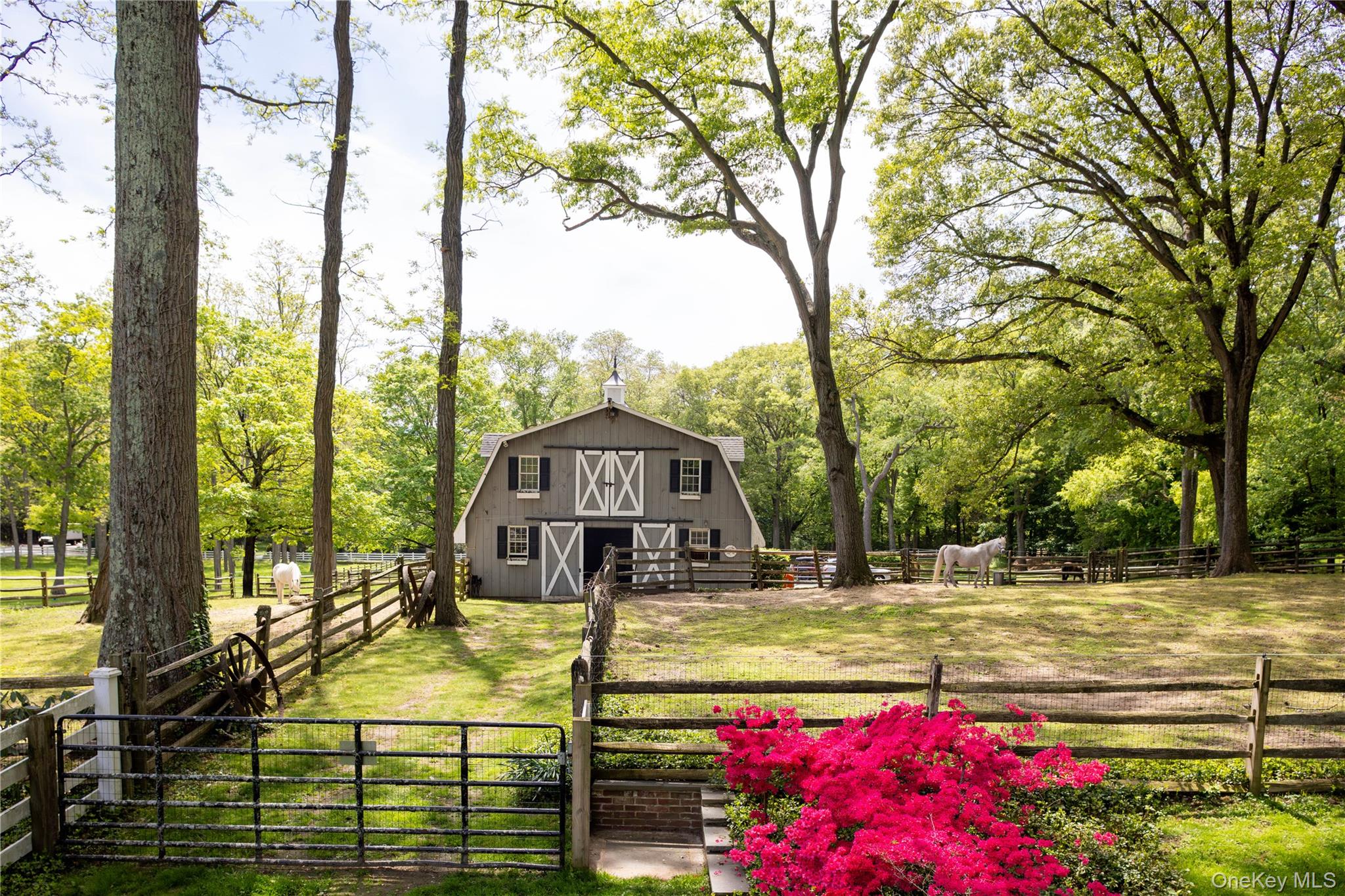 550 Chicken Valley Road