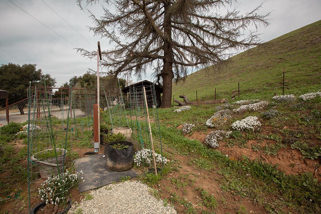 820 Comstock RD