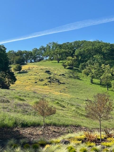 6050 Winged Foot Dr, Gilroy, CA 95020