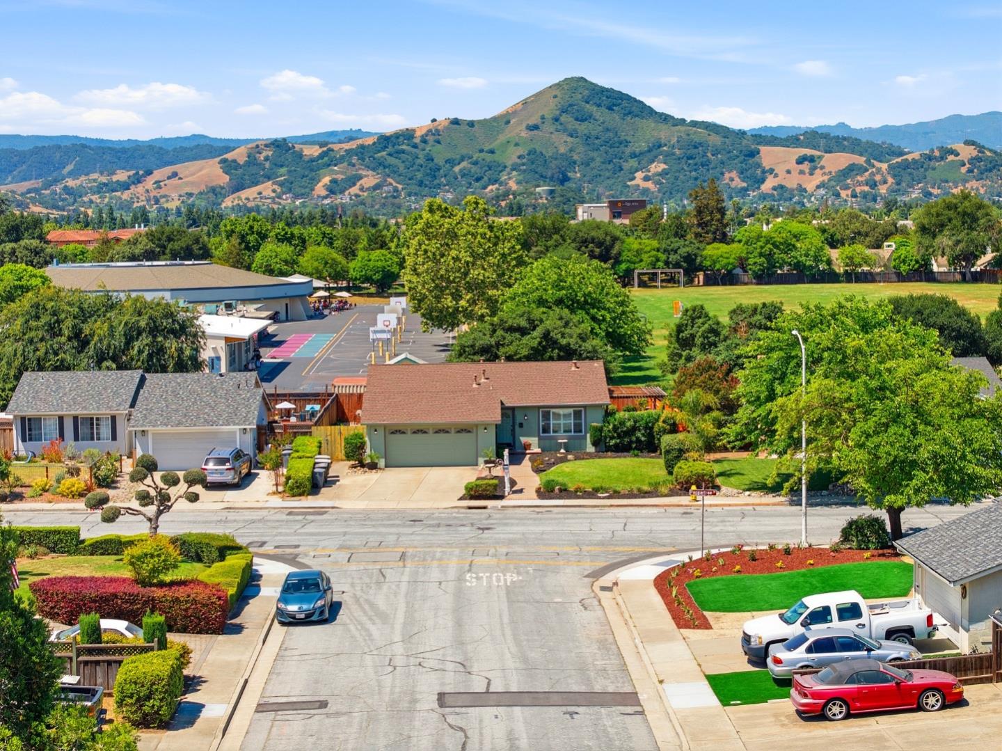17065 Peppertree Drive