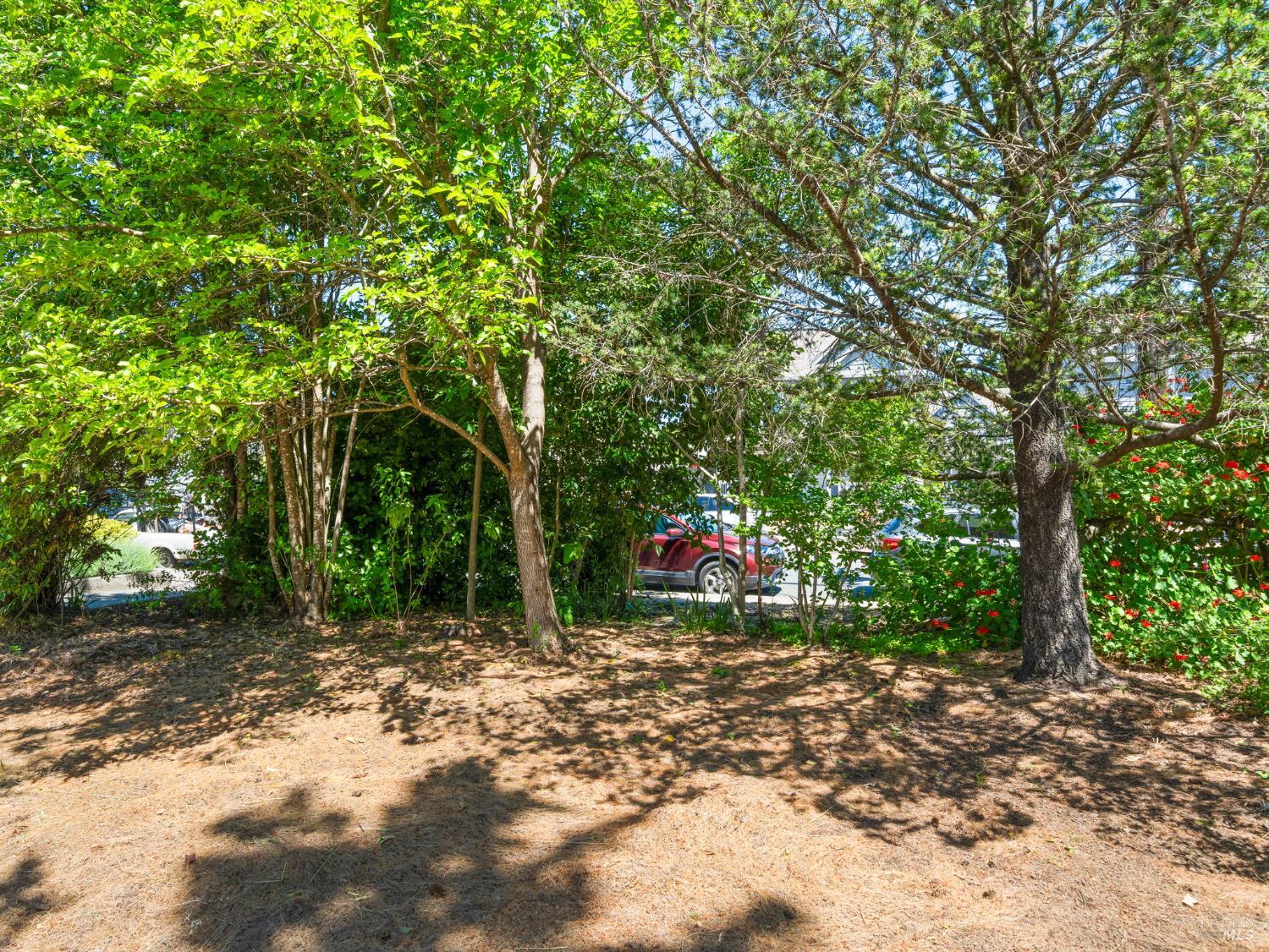 442 Piper St
