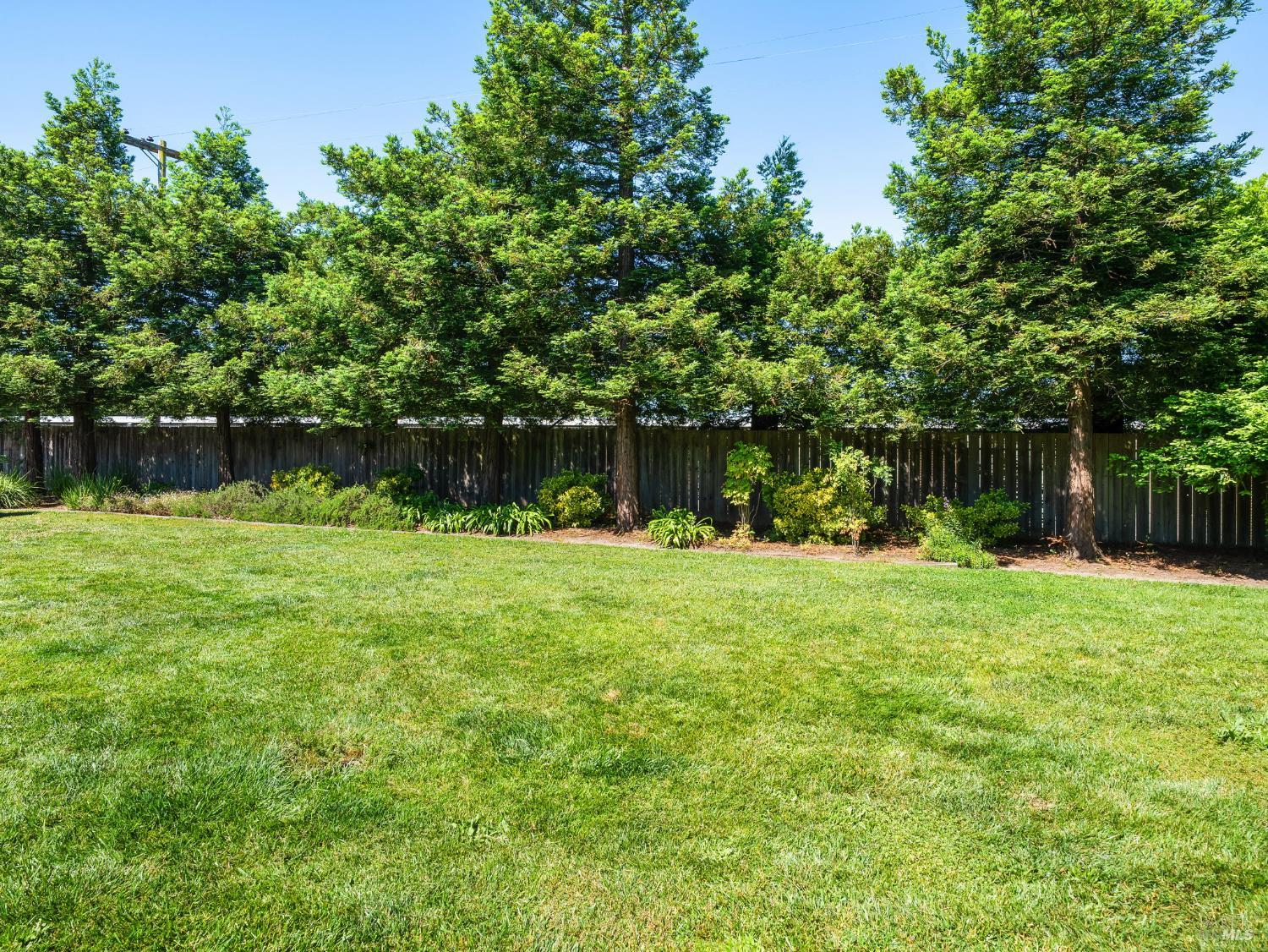 751 W Jasmine Cir