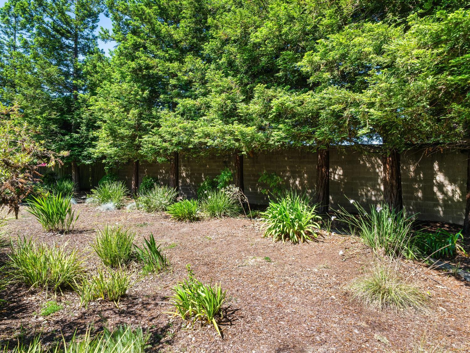 751 W Jasmine Cir