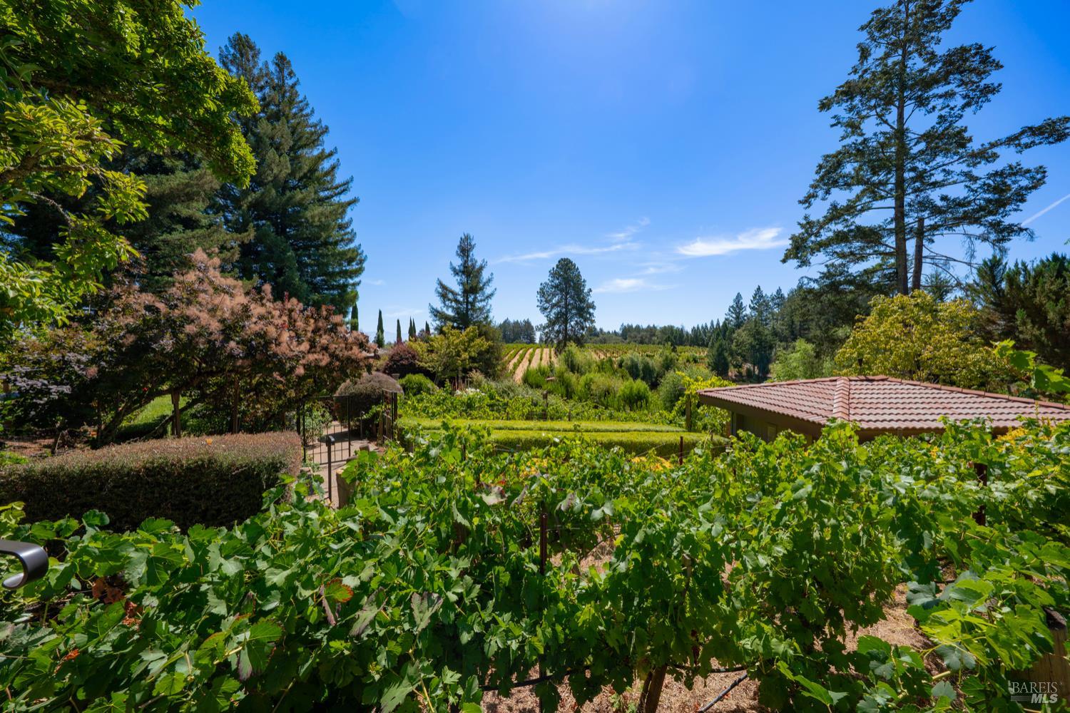 1633 Dry Creek Rd