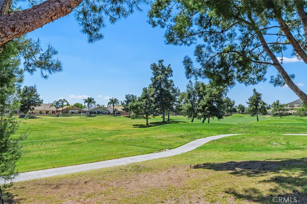 29429 Springside Drive