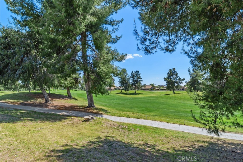 29429 Springside Drive