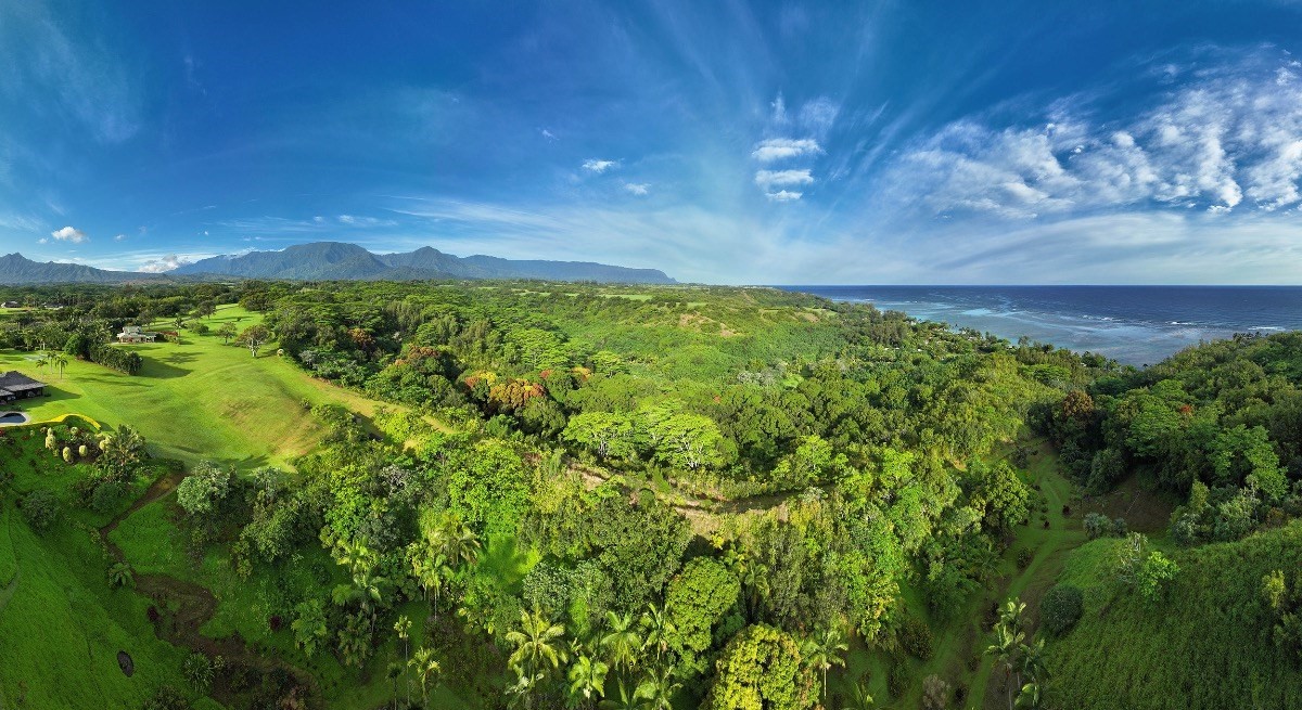 4336 ANINI VISTA DR