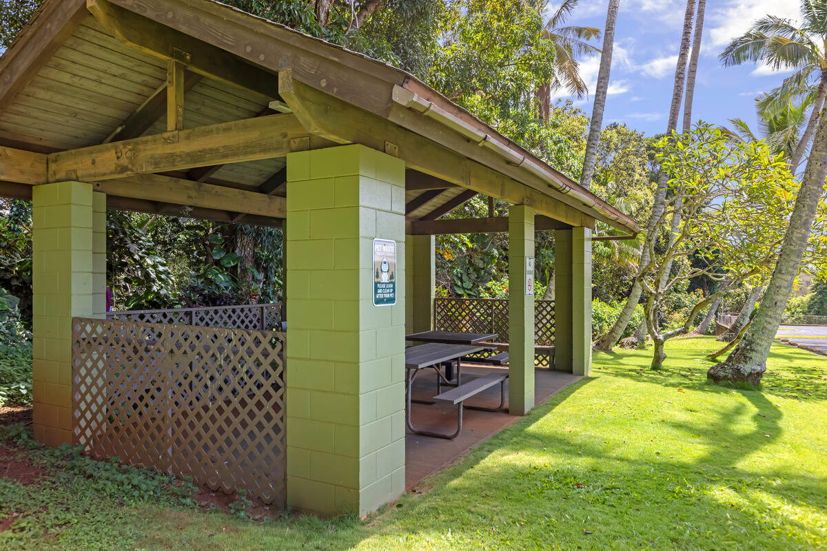 3-3400 KUHIO HWY A101