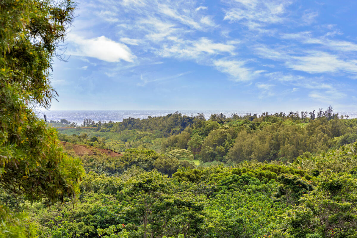 3-3400 KUHIO HWY A101