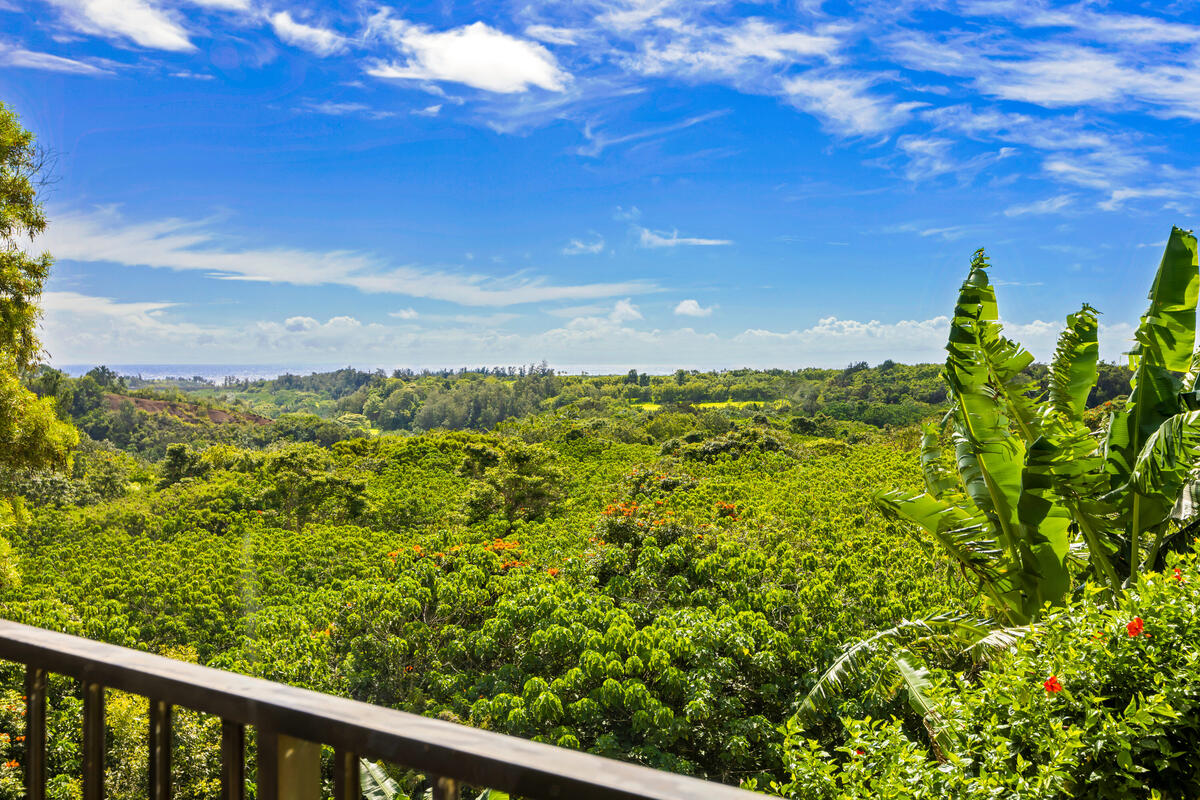 3-3400 KUHIO HWY A101