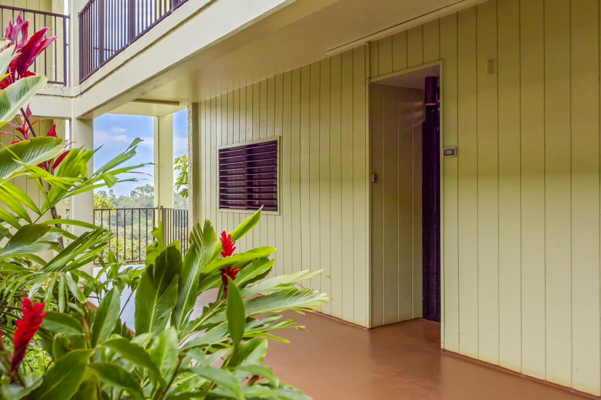 3-3400 KUHIO HWY A101