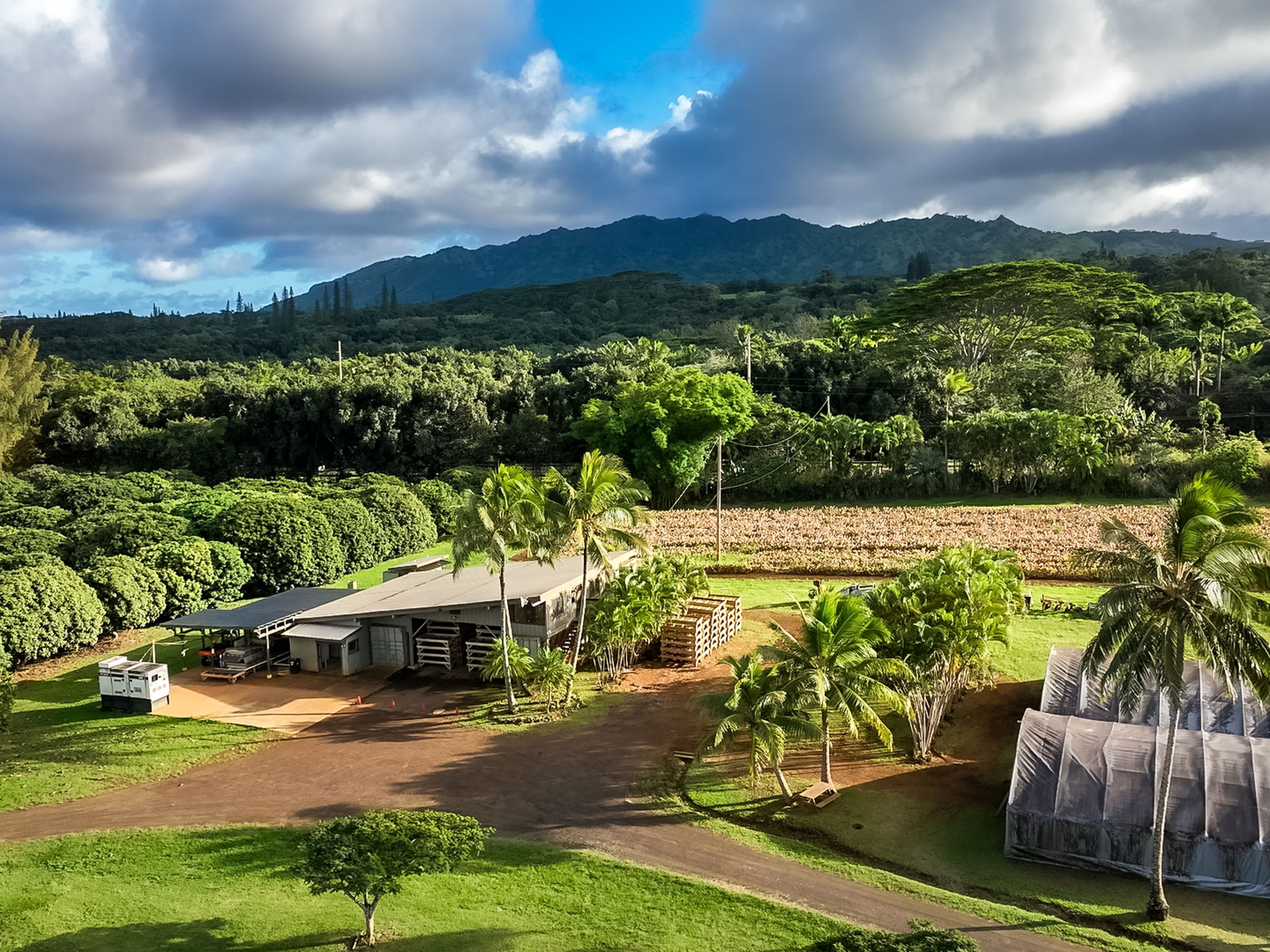 4469 WAIAKALUA ST F