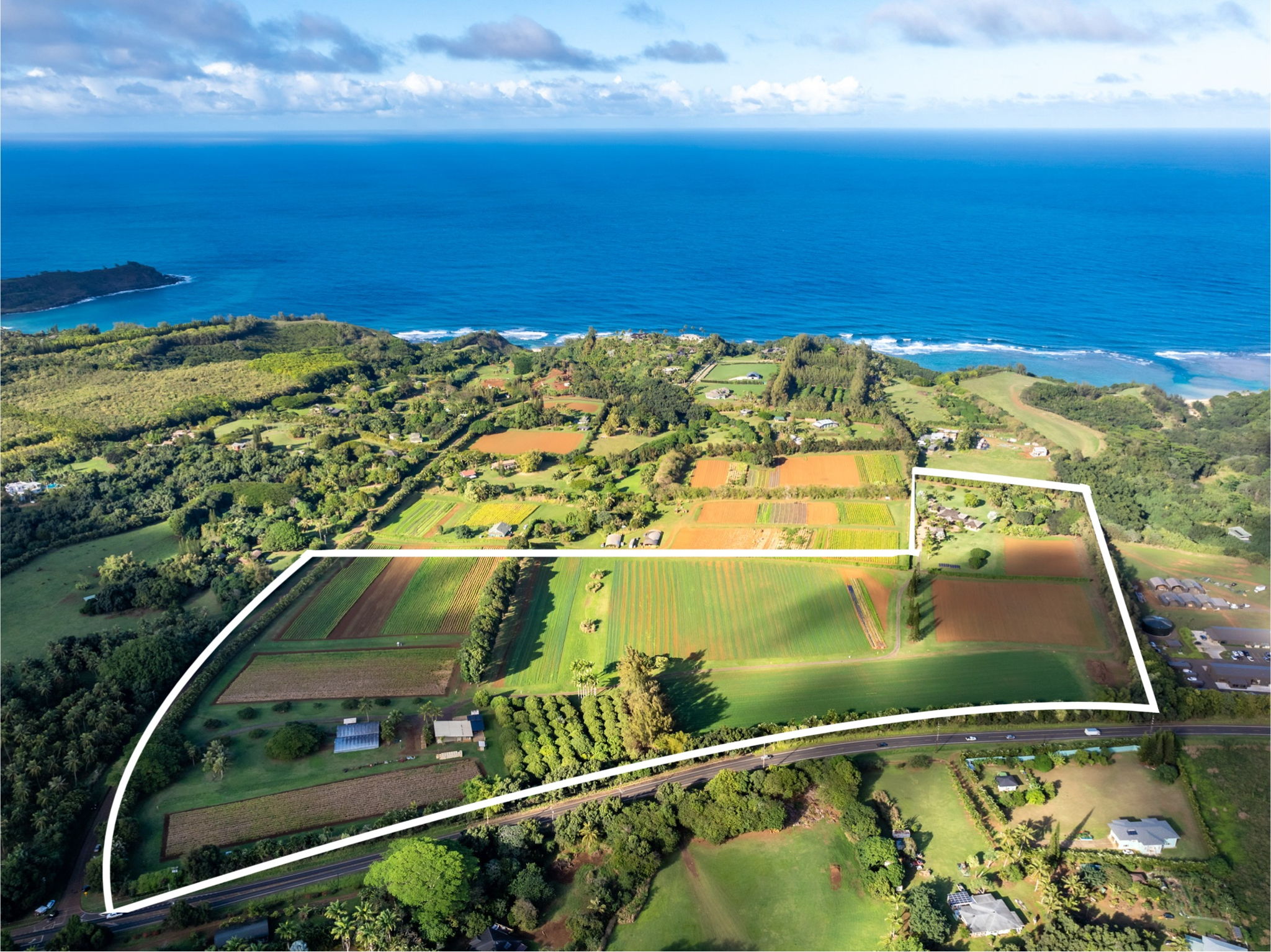 4469 WAIAKALUA ST F
