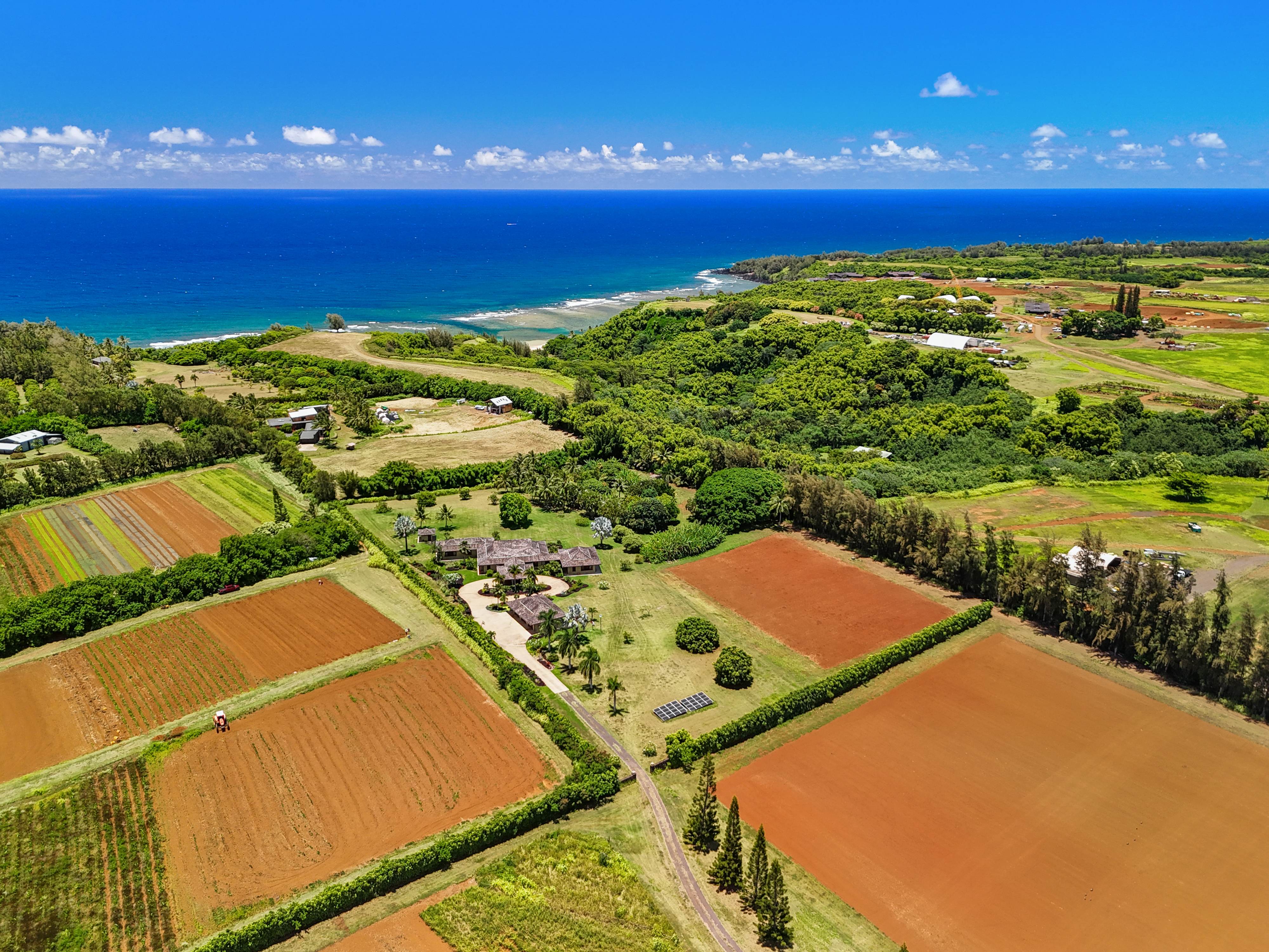 4469 WAIAKALUA ST F