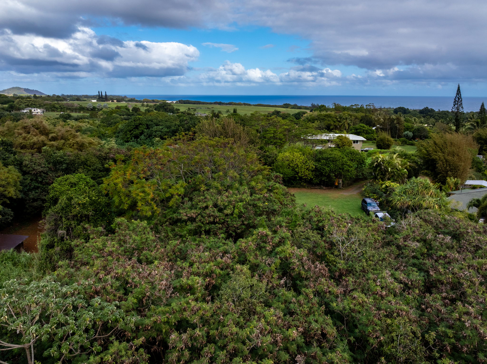 7549-A KOOLAU RD
