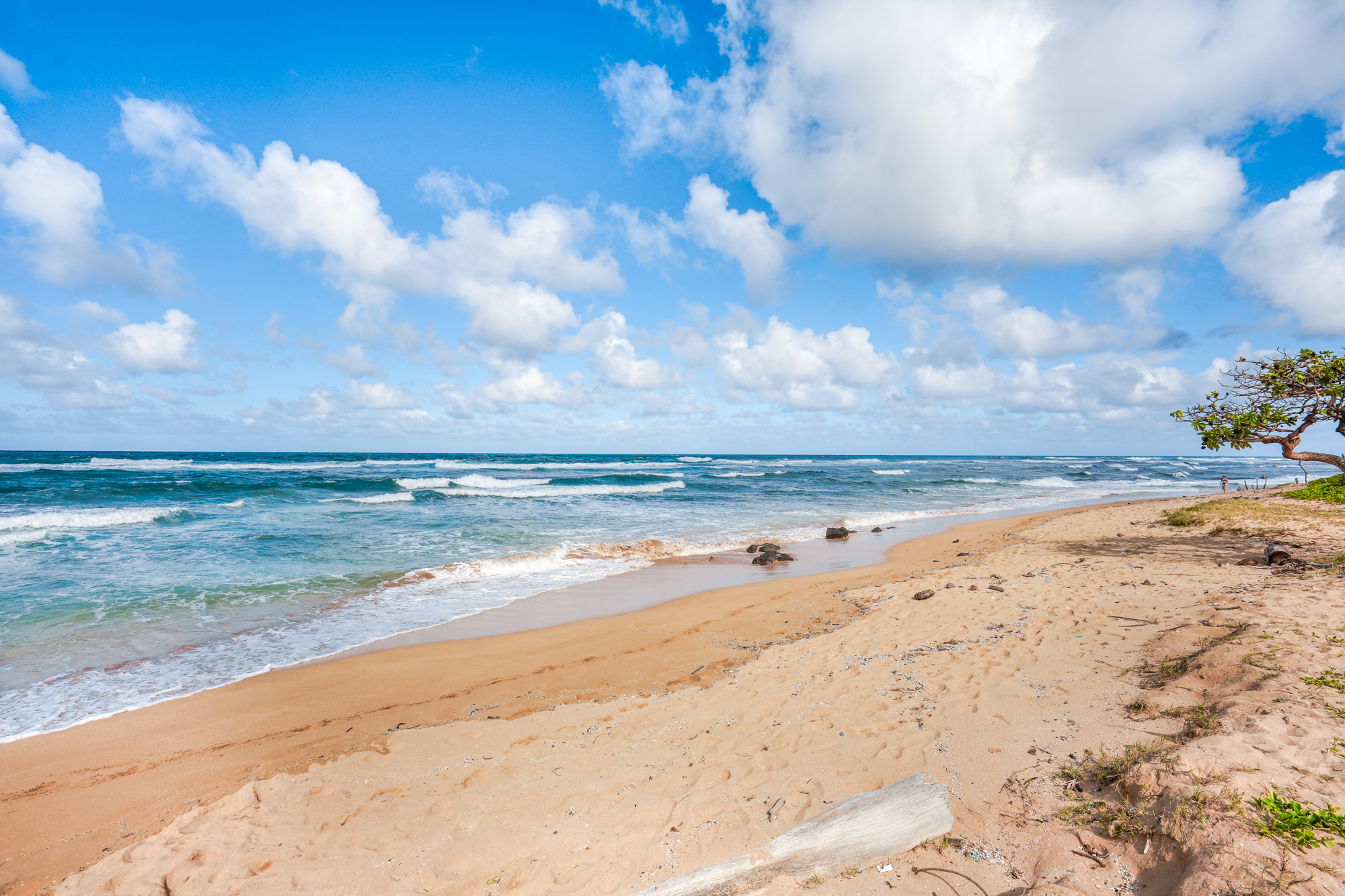 4330 KAUAI BEACH DR G8