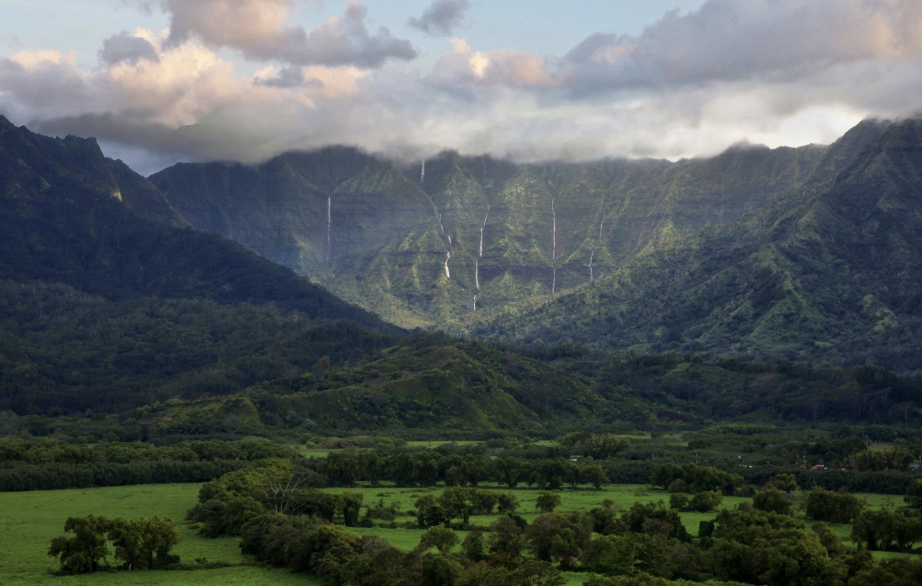 5181 HANALEI PLANTATION RD