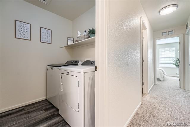 431 Black Feather Loop Unit: 817
