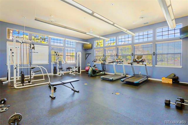 431 Black Feather Loop Unit: 817