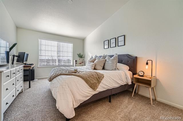431 Black Feather Loop Unit: 817