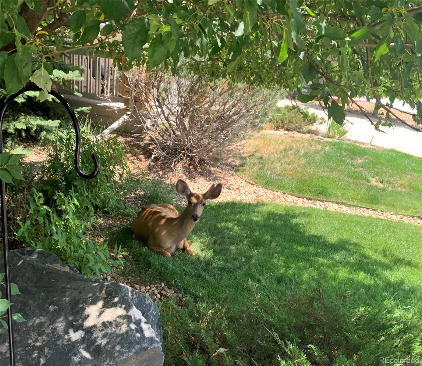 2477 Bellavista Street