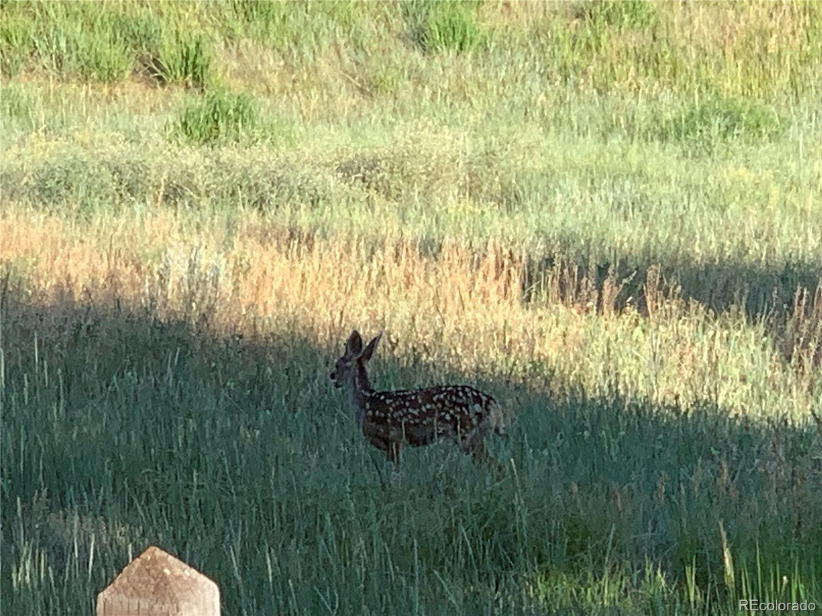 2477 Bellavista Street