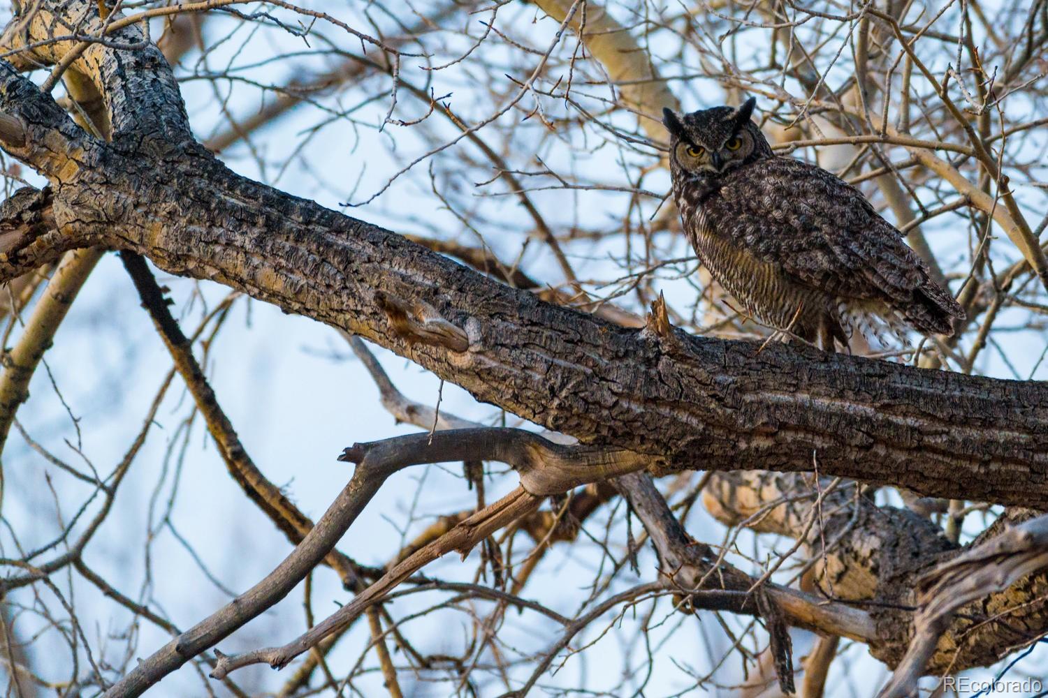 54400 County Road Ll56 South