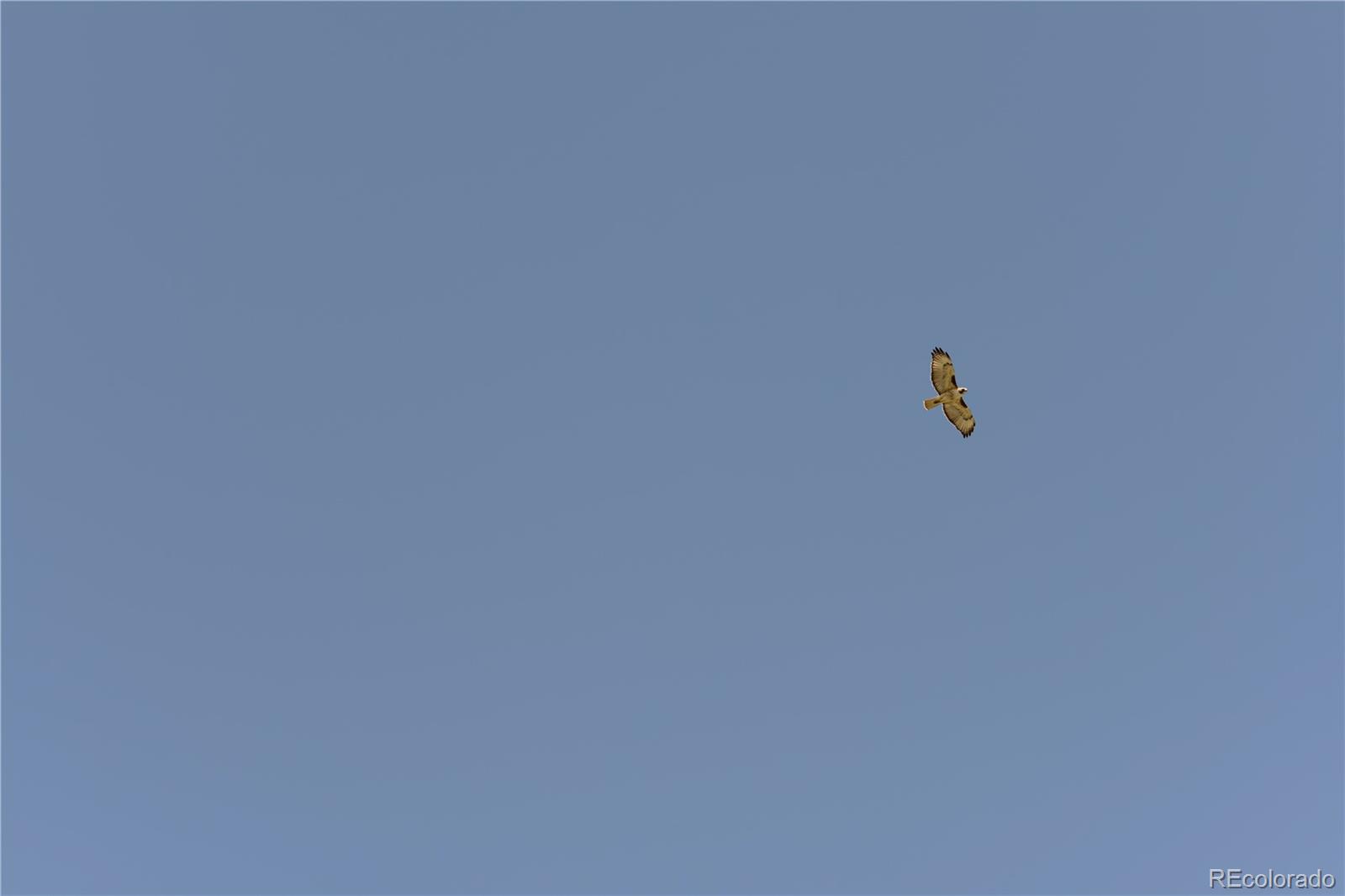 54400 County Road Ll56 South