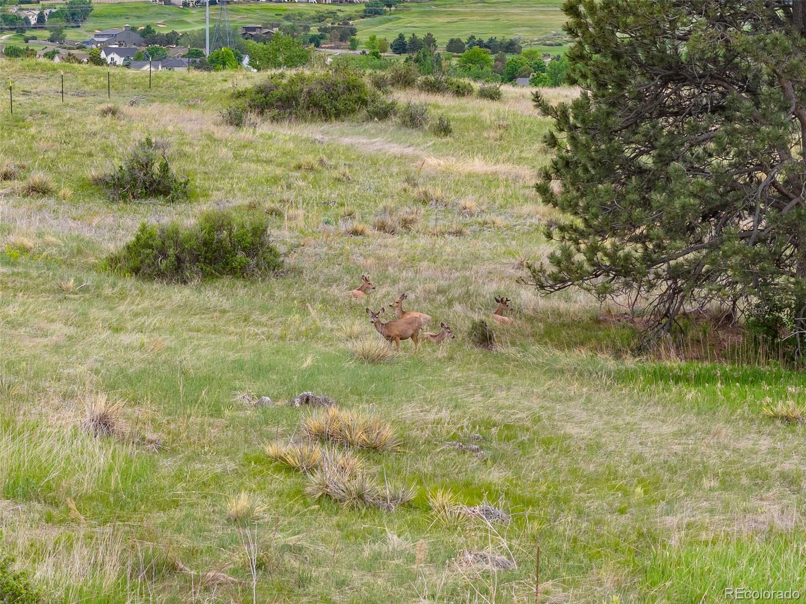 10720 Mount Antero Way