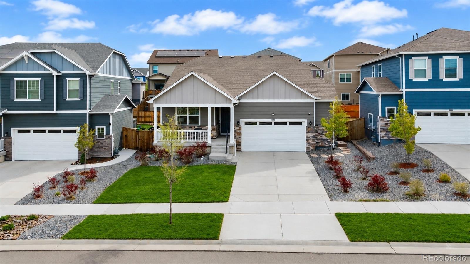 13998 Shasta Daisy Street