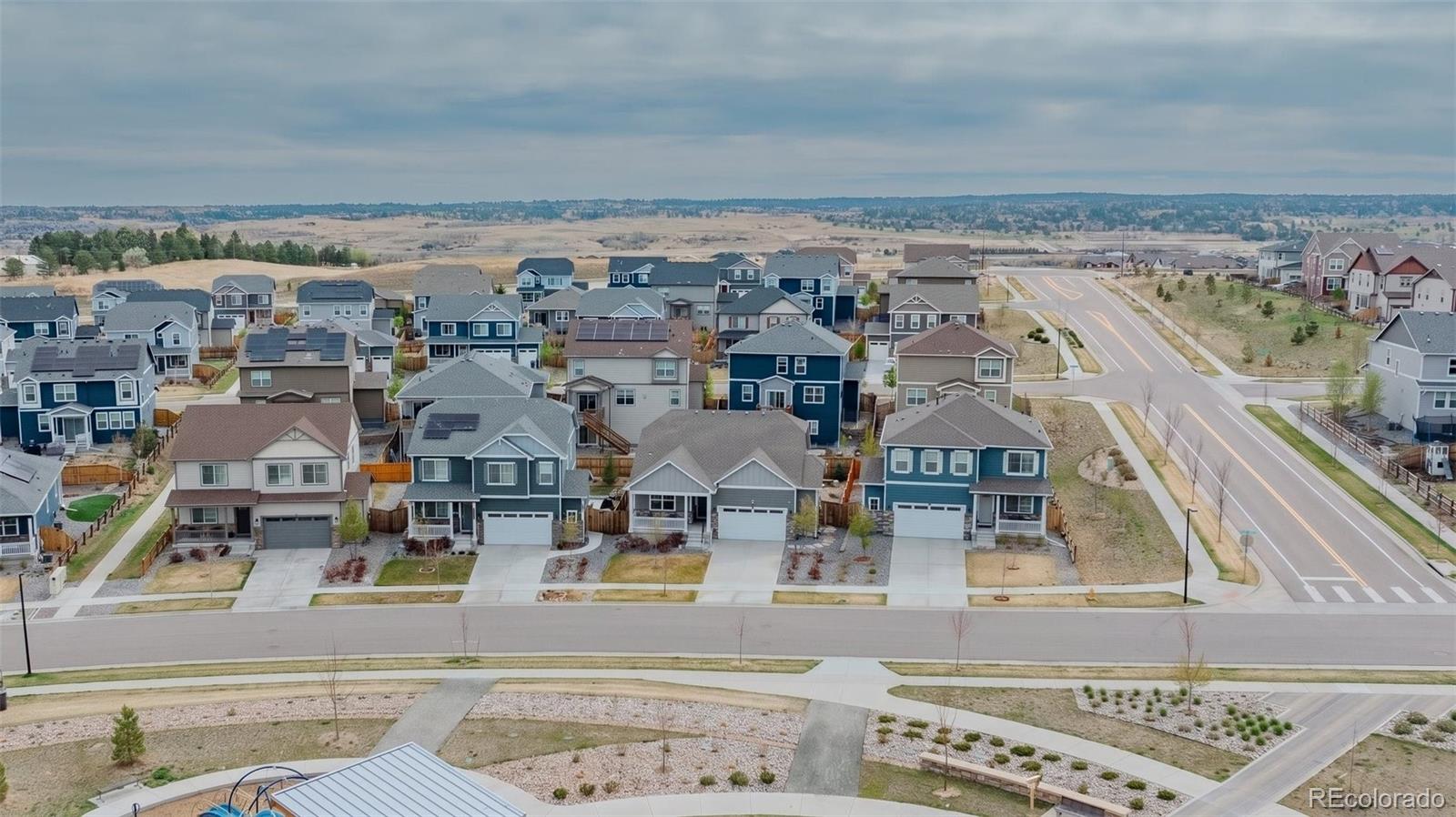 13998 Shasta Daisy Street